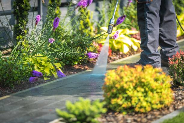 Best Dumpster Area Cleaning  in North Riverside, IL